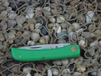 Case Cutlery 1975 Green Delrin Sodbuster Jr with Carbon steel G137