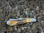 Case Cutlery Red Fox 1988 Burnt Stag Dogleg Trapper with TruSharp steel 5240