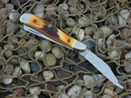 Case Cutlery Fox Squirrel 1988 Burnt Stag Peanut with TruSharp steel 5220