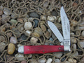 Case Cutlery 1979 Smooth Rose Bone Coke Bottle with Carbon steel 6225 1/2 