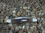 Case Cutlery 1979 Brown Bone Pen Knife with Carbon steel 06247Pen