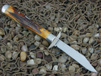 Case Cutlery 1977 Burnt Stag Cheetah with TruSharp steel 5111 1/2 Blue Scroll NM