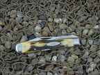 Case Cutlery 1977 Burnt Stag Cheetah with TruSharp steel 5111 1/2 Blue Scroll NM