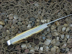 Case Cutlery 1977 Burnt Stag Trapper TruSharp 5254 Blue Scroll