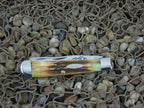 Case Cutlery 1977 Burnt Stag Trapper TruSharp 5254 Blue Scroll