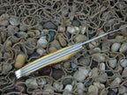 Case Cutlery 1977 Burnt Stag Jack with TruSharp steel 52087 Blue Scroll