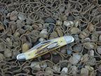 Case Cutlery 1977 Burnt Stag Jack with TruSharp steel 52087 Blue Scroll