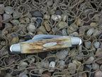 Case Cutlery 1977 Burnt Stag Stockman with TruSharp steel 5347 Blue Scroll