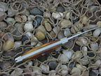 Case Cutlery 1977 Burnt Stag Pen Knife with TruSharp steel 5233 Blue Scroll