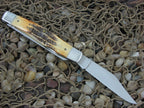Case Cutlery 2006 Bonestag Moose with TruSharp steel 6.5275