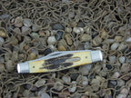 Case Cutlery 2006 Bonestag Moose with TruSharp steel 6.5275