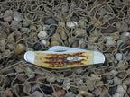 Case Cutlery 2003 Antique PW Bone Sowbelly with TruSharp steel 6339