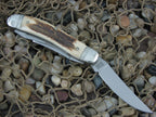 Hen & Rooster Cutlery  Stag Stockman Stainless Model Quarter Horse 213DSQH