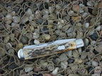 Queen Cutlery  Burnt Stag Trapper with D2 steel