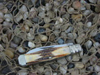 Kabar 1988 Stag Jack Stainless steel Boot Hill