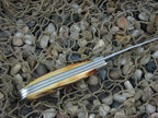 Schrade USA 1982 Stag Trapper Stainless steel  NKCA