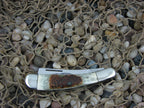 Eagle Brand Cutlery  Bone Razor Stainless steel M-1501