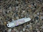 Eagle Brand Cutlery  Abalone Lockback Stainless steel
