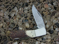 Elk Horn 1980 Stag Lockback with Stainless steel  