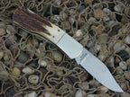 Elk Horn 1980 Stag Lockback with Stainless steel Model