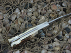 Elk Horn 1980 Stag Lockback with Stainless steel Model