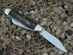 Fight'n Rooster 1985 Buffalo Horn Cattleman with Carbon steel