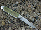 Remington  Smooth Bone Moose with Stainless steel R4468 Sterling Shield