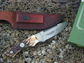 Remington R6 with Staglon handles