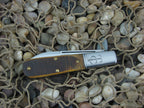 Great Eastern Tidioute Rough Sawn Osage Orange Wood Boys Knife 152121