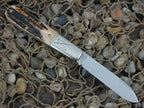 Great Eastern Cutlery Northfield Barlow Sambar Stag  772122